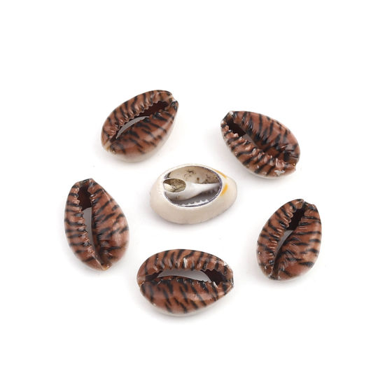 Image de Perles en Coquille Escargot de Mer Brun & Noir Léopard 25mm x 17mm - 18mm x 13mm, 10 Pcs