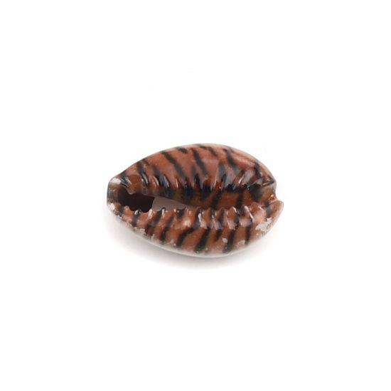Image de Perles en Coquille Escargot de Mer Brun & Noir Léopard 25mm x 17mm - 18mm x 13mm, 10 Pcs