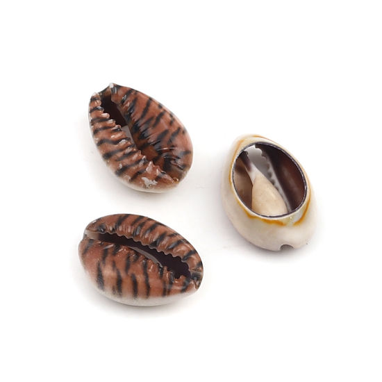 Image de Perles en Coquille Escargot de Mer Brun & Noir Léopard 25mm x 17mm - 18mm x 13mm, 10 Pcs