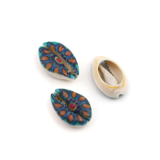 Image de Perles en Coquille Escargot de Mer Multicolore 25mm x 17mm - 18mm x 13mm, 10 Pcs
