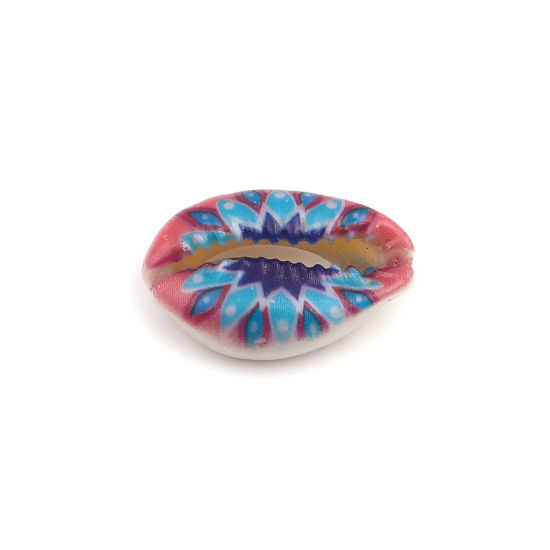 Image de Perles en Coquille Escargot de Mer Bleu & Rose 25mm x 17mm - 18mm x 13mm, 10 Pcs