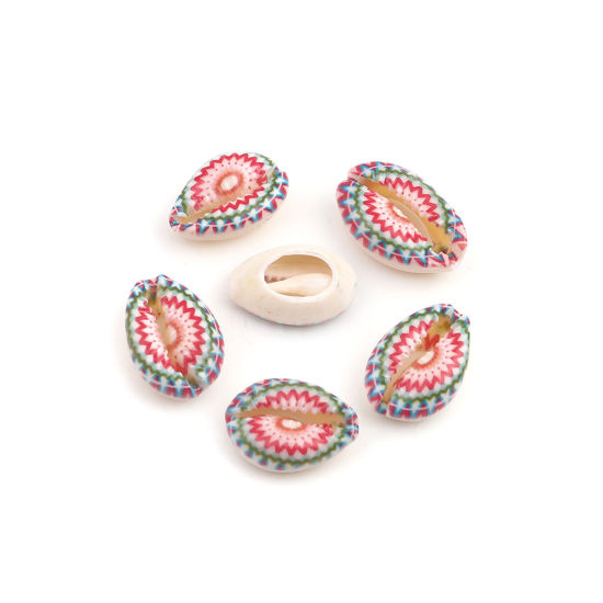 Image de Perles en Coquille Escargot de Mer Multicolore 25mm x 17mm - 18mm x 13mm, 10 Pcs