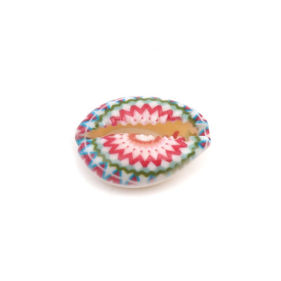 Image de Perles en Coquille Escargot de Mer Multicolore 25mm x 17mm - 18mm x 13mm, 10 Pcs