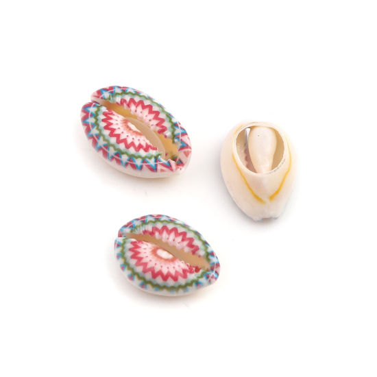 Image de Perles en Coquille Escargot de Mer Multicolore 25mm x 17mm - 18mm x 13mm, 10 Pcs