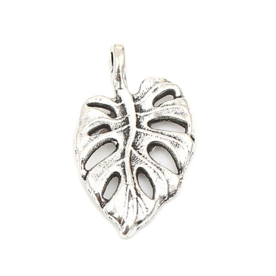 Bild von Zinklegierung Charms Blätter Antik Silber 20mm x 12mm, 50 Stück
