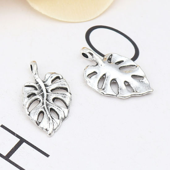 Bild von Zinklegierung Charms Blätter Antik Silber 20mm x 12mm, 50 Stück