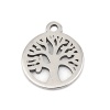 Immagine di 304 Stainless Steel Charms