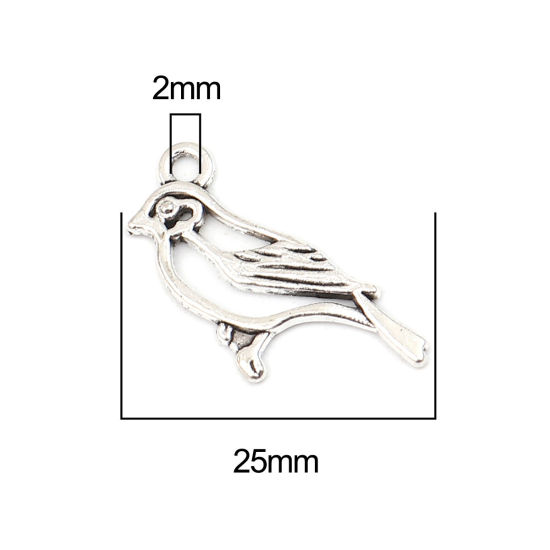 Image de Breloques en Alliage de Zinc Oiseau Argent Vieilli 25mm x 20mm, 50 Pcs