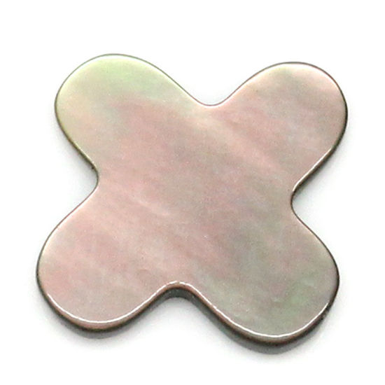 Image de Appliques d'embellissement en Coquille Naturelle, Forme Croix, Noir 10.0mm x 10.0mm, 5 Pièces