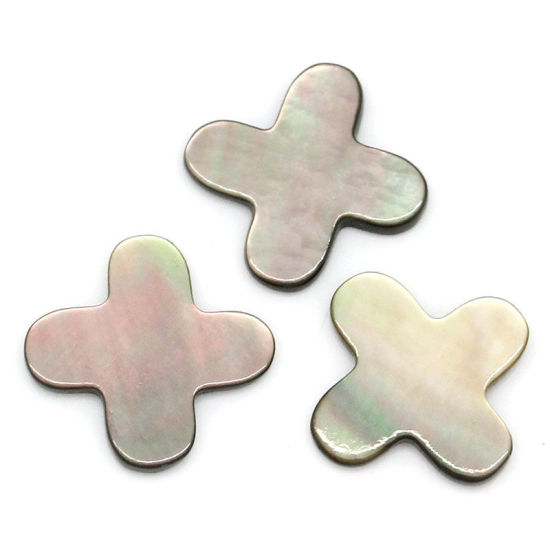 Image de Appliques d'embellissement en Coquille Naturelle, Forme Croix, Noir 10.0mm x 10.0mm, 5 Pièces