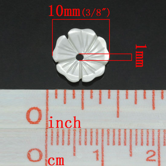 Image de Perles en Coquille Naturelle Forme Fleur Blanc 10mm x 10mm, Tailles de Trous: 1mm, 5 Pièces