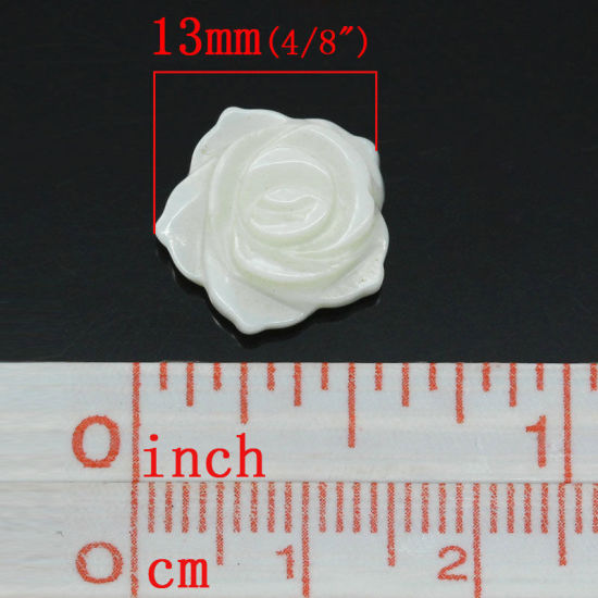 ナチュラル シェル 装飾パーツ フラワー ホワイト 13.0mm x 13.0mm、 5 PCs  の画像