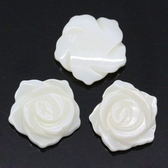 ナチュラル シェル 装飾パーツ フラワー ホワイト 13.0mm x 13.0mm、 5 PCs  の画像