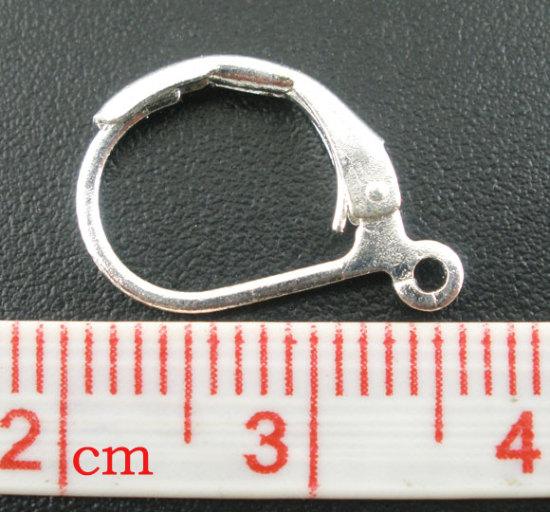 Picture of 60 PCs Brass Lever Back Clips Earrings Silver Plated With Loop 16mm x 10mm