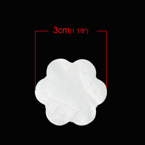 シェル 装飾パーツ フラワー ホワイト 3.0mm x 3.0mm、 10 個 の画像