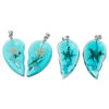 Picture of Ocean Jewelry Resin Couples Pendants Broken Heart Transparent Green Blue Real Starfish 34mm(1 3/8") x 31mm(1 2/8"), 1 Pair