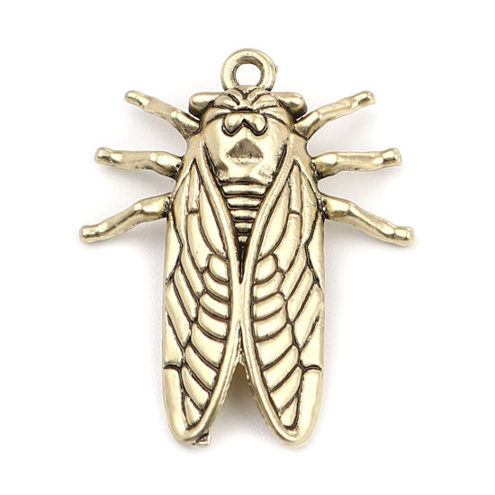 Изображение Zinc Based Alloy Insect Charms Cicada Gold Tone Antique Gold 28mm x 23mm, 10 PCs
