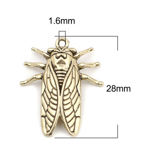 Изображение Zinc Based Alloy Insect Charms Cicada Gold Tone Antique Gold 28mm x 23mm, 10 PCs