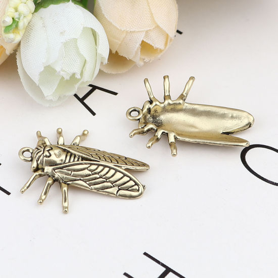 Изображение Zinc Based Alloy Insect Charms Cicada Gold Tone Antique Gold 28mm x 23mm, 10 PCs