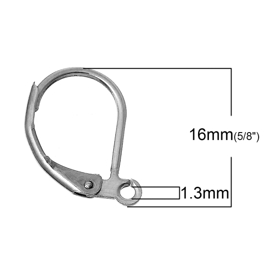 Picture of 304 Stainless Steel Lever Back Clips Earring Findings Silver Tone W/ Loop 16mm( 5/8") x 11mm( 3/8"), 30 PCs
