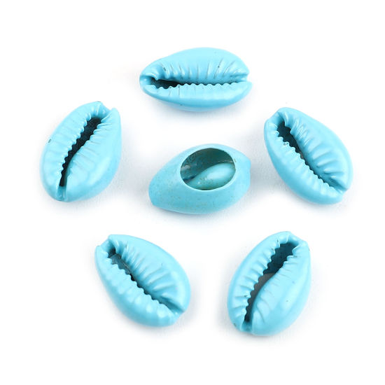 天然 シェル チャーム シェル 青 18x12mm-13x9mm、 20 個 の画像