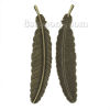 Picture of Zinc Metal Alloy Pendants Feather Antique Bronze 10.6cm(4 1/8") x 2.2cm( 7/8"), 10 PCs