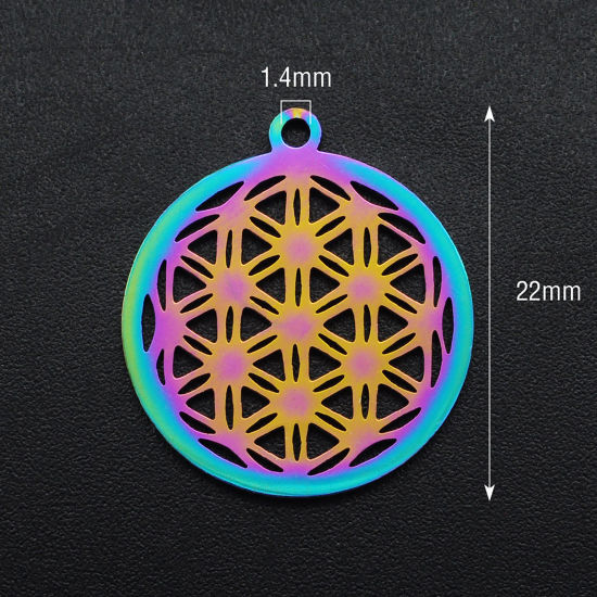 Immagine di Acciaio Inossidabile Charms Tondo Multicolore Fiore 22mm x 19mm, 1 Pz