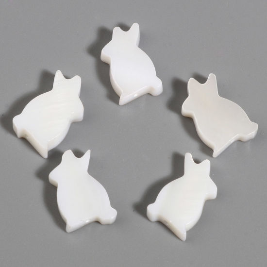 Image de Perles en Coquille Lapin Crème 15mm x 9mm -14mm x 8mm, Taille de Trou: 0.8mm, 5 Pcs