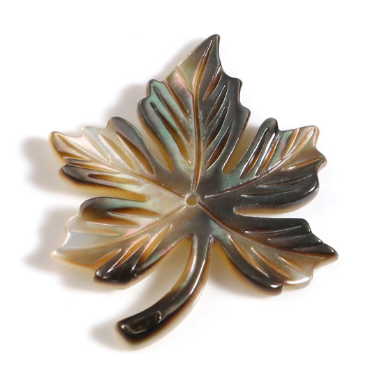 天然 シェル ペンダント 紅葉 暗灰色 30mm x 25mm、 1 個 の画像