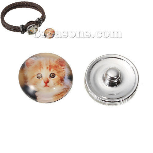 Image de 18mm Bouton Pression en Verre Rond Argent Mat Couleur Au Hasard Chats pour Support Bracelet, Taille de Poignée: 5.5mm, 6 Pcs