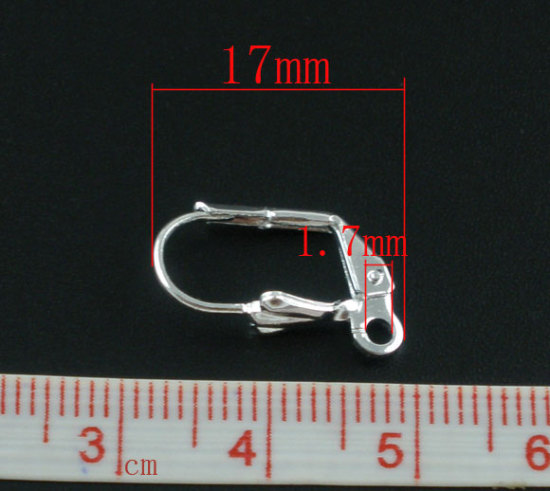 Picture of 50 PCs Brass Lever Back Clips Earrings Silver Plated With Loop 17mm x 10mm