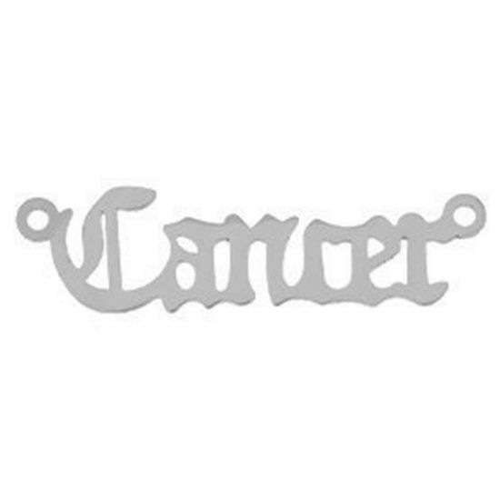 Immagine di Acciaio Inossidabile Connettore Messaggio Tono Argento Costellazione Cancro 3.1cm, 1 Pz
