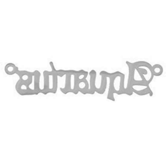 Immagine di Acciaio Inossidabile Connettore Messaggio Tono Argento Costellazione Acquario 4cm, 1 Pz