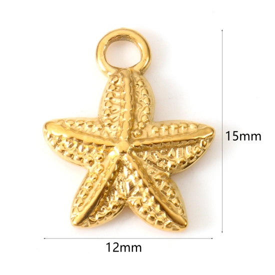 Image de Breloques en 304 Acier Inoxydable Placage sous Vide PVD Respectueux de l'Environnement Bijoux d'Océan Etoile de Mer Plaqué Or 18K 15mm x 12mm , 2 Pcs