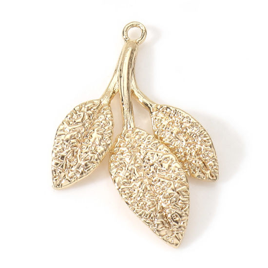 Image de Breloques en Laiton Feuille Plaqué Or Véritable 18K 27mm x 18mm, 2 Pcs