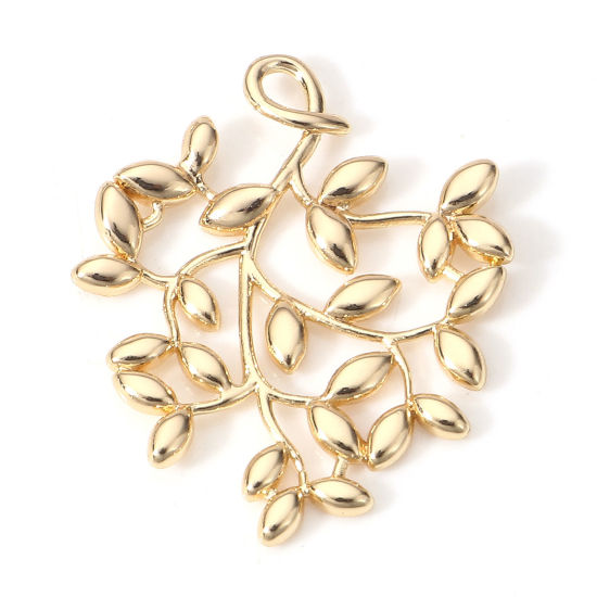 Bild von 2 Stück Messing Charms 18K Echtgold plattiert Blätter Hohl 24mm x 19.5mm