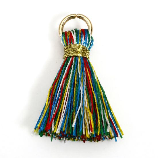 Image de 20 Pcs Breloques Franges en Polyester Multicolore avec Boucle 24mm