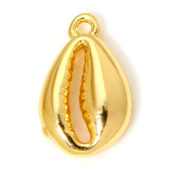 Image de 2 Pcs Breloques en Laiton Cypraea caputserpentis Plaqué Or 18K 11mm x 7mm