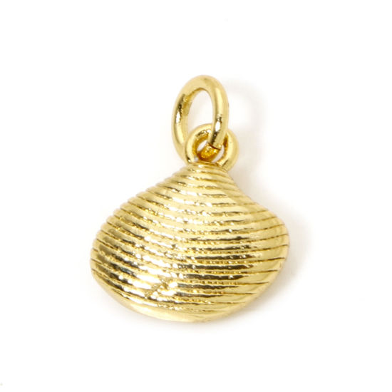 Image de 1 Pièce Breloques en Laiton Respectueux de la Nature Coquille Plaqué Or Véritable 18K 3D 12mm x 8mm