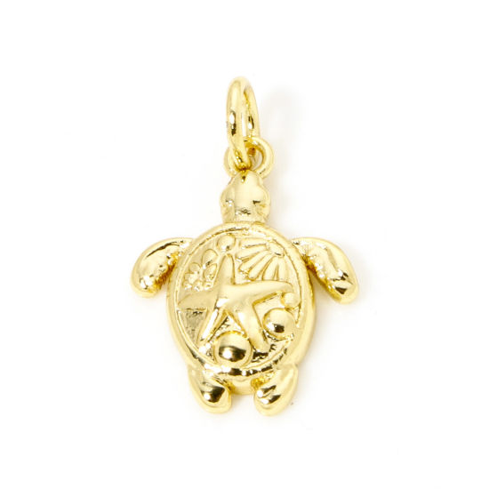 Image de 1 Pièce Breloques Bijoux d'Océan en Laiton Respectueux de la Nature Tortue de Mer Plaqué Or Véritable 18K Tortue 19mm x 12mm