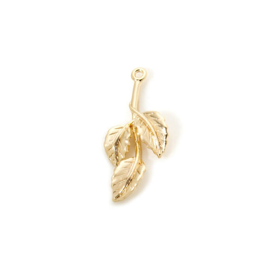 Image de 5 Pcs Breloques en Laiton Respectueux de la Nature Feuille Plaqué Or Véritable 18K 23mm x 11mm