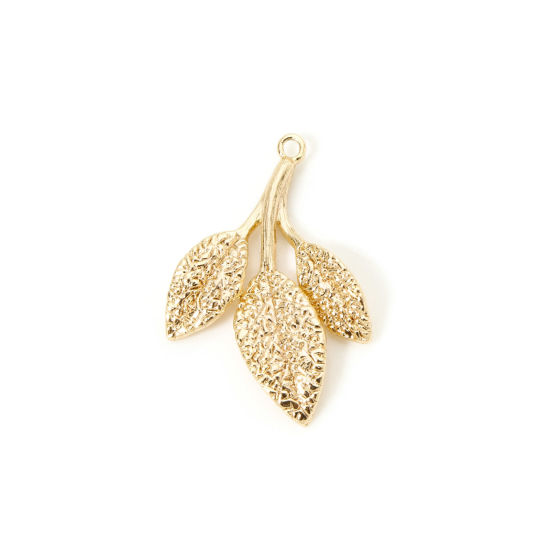 Image de 5 Pcs Breloques en Laiton Respectueux de la Nature Feuille Plaqué Or Véritable 18K 26mm x 18mm