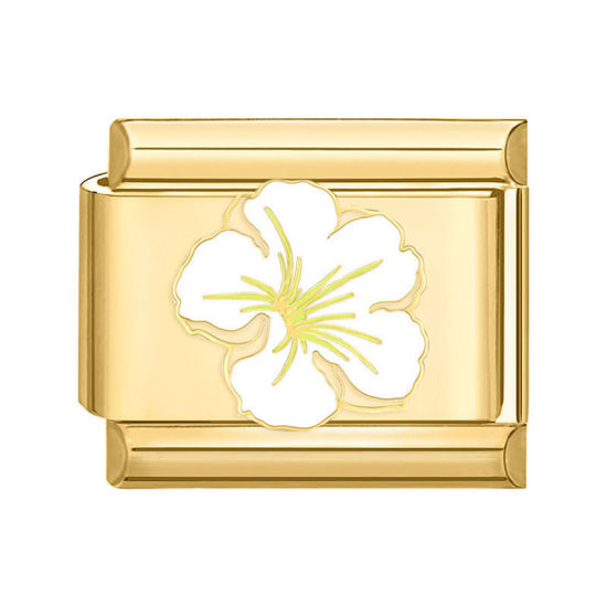 Image de 1 Pièce Bracelet à Maillons Breloques Italiens Accessories de Fabrication de Bracelets Bijoux DIY Élégant en 304 Acier Inoxydable Doré Blanc Rectangle Fleurs 10mm x 9mm