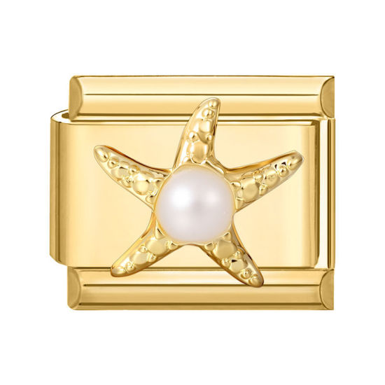Image de 1 Pièce Maillons de Charme Italiens pour la Fabrication de Bijoux de Montres-Bracelets Modulables à Faire Soi-Même En Gros en 304 Acier Inoxydable Doré Rectangle Etoile de Mer 10mm x 9mm
