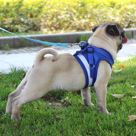 1 Piece Polyester Pet Vest Chest Strap Traction Rope Leash Harness Red Size L の画像