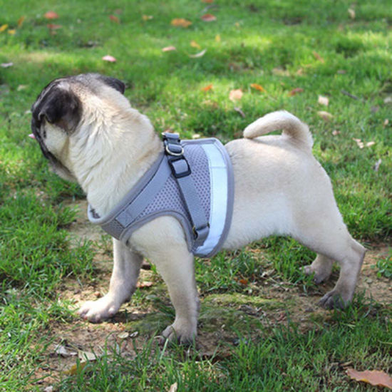 1 Piece Polyester Pet Vest Chest Strap Traction Rope Leash Harness Red Size L の画像