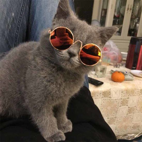 グレー-ラブリーキャットドッググラスアイウェアサングラスペット製品リトルドッグキャット写真プロップ、1個 の画像