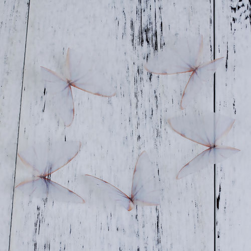 Image de Papillon Éthéré en Organza Transparent 50mm x 40mm, 5 Pcs