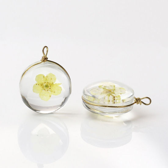 Image de Breloques en Laiton+Verre Rond Fleur Séchée Rose Transparent 19mm x 14mm, 2 Pcs