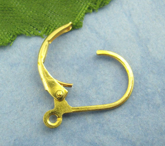 Picture of Brass Lever Back Clips Earring Findings